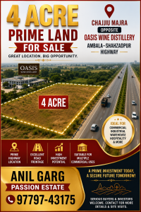4 Acre Prime Commercial/Investment Land for Sale